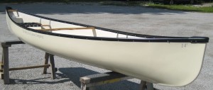 14' Algonquin Pro